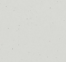 Линолеум Forbo Sphera Energetic 50226 mirror фото 1 | FLOORDEALER